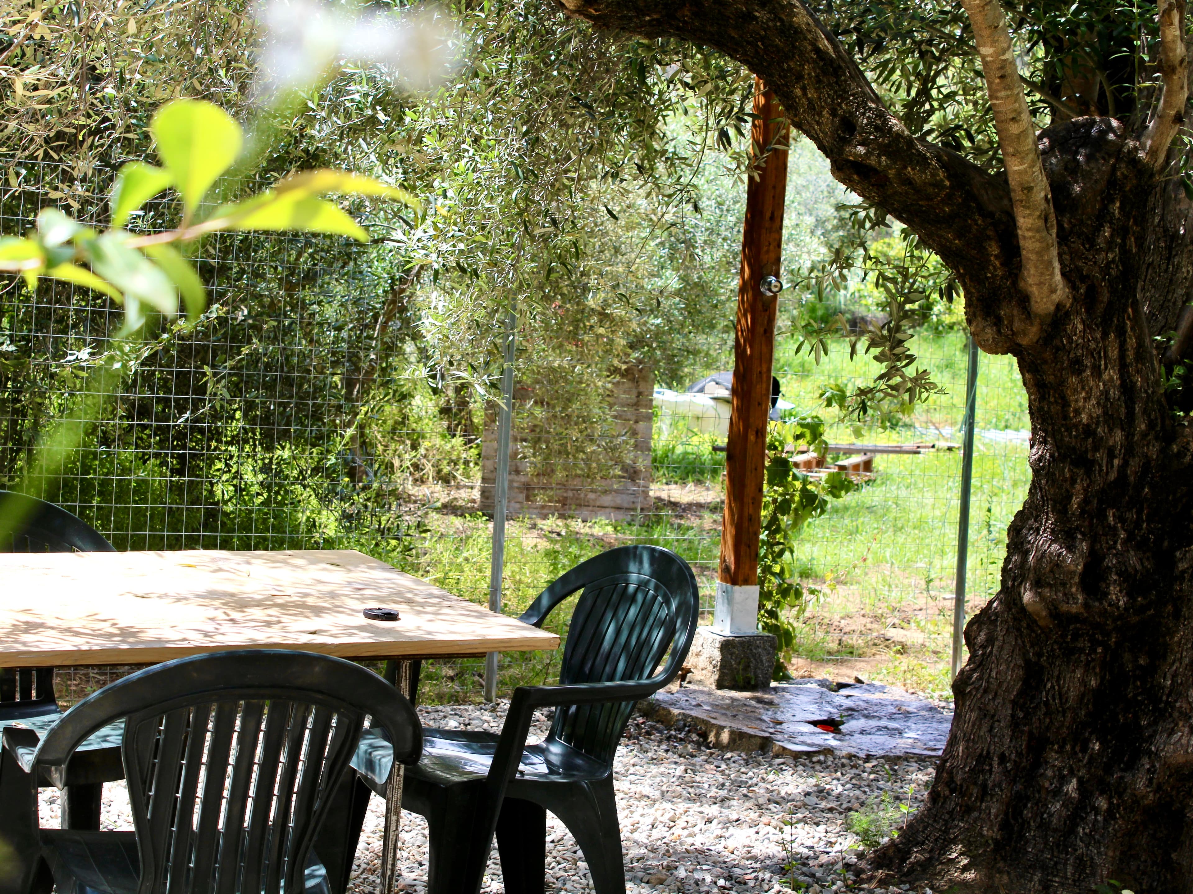 Giardino 1